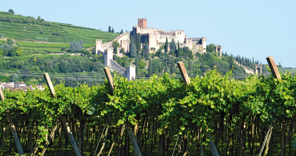 Vini Vulcanici Soave